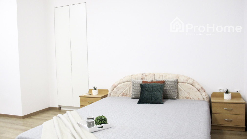 Prenájom - 2 izbový byt, Dostojevského rad