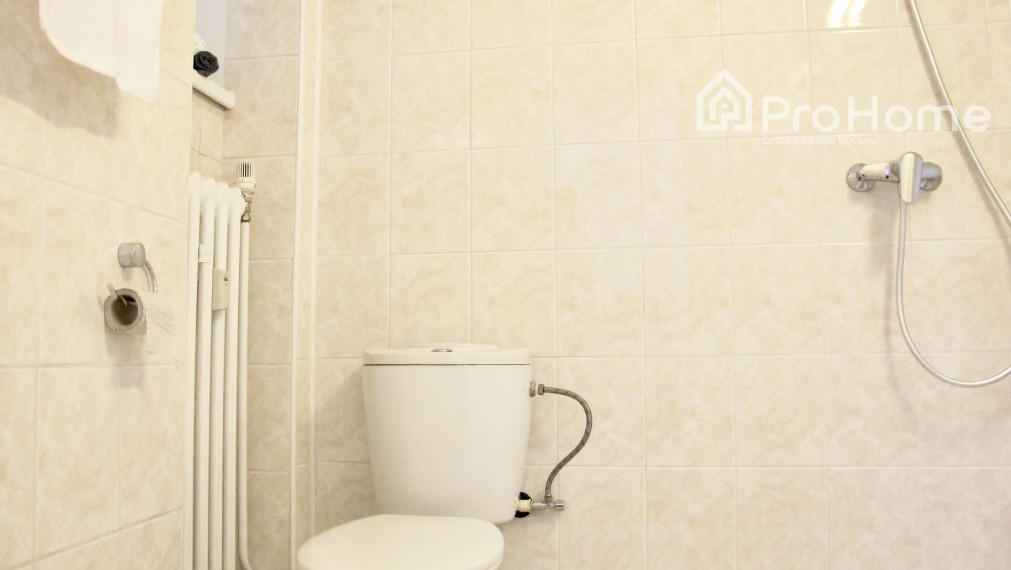 Prenájom - 2 izbový byt, Dostojevského rad