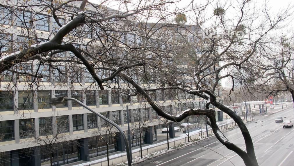 2 izbový byt Nivy, oproti Apollo business center