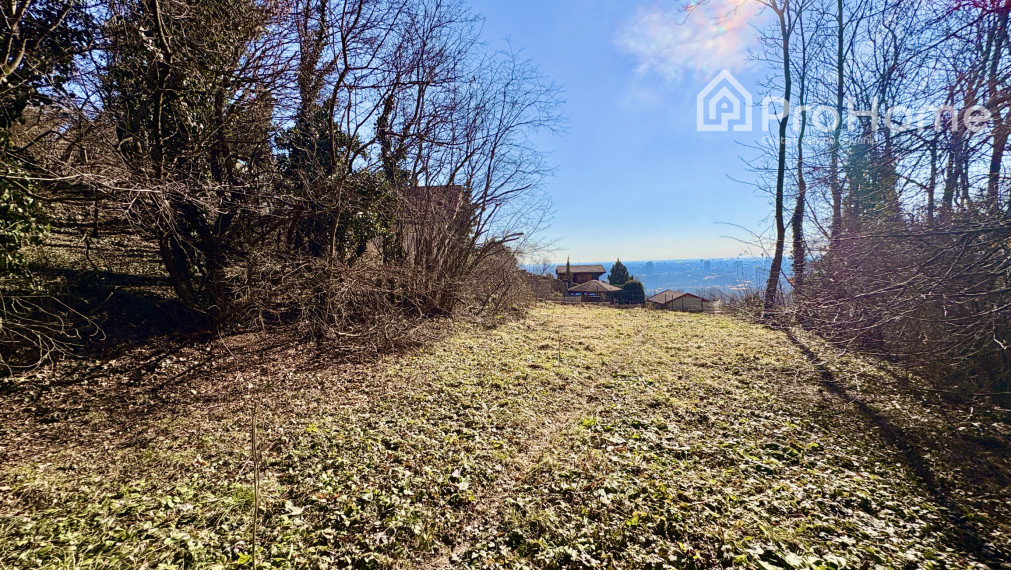 🌳 Stavebné pozemky na hranici lesa – Vinohrady