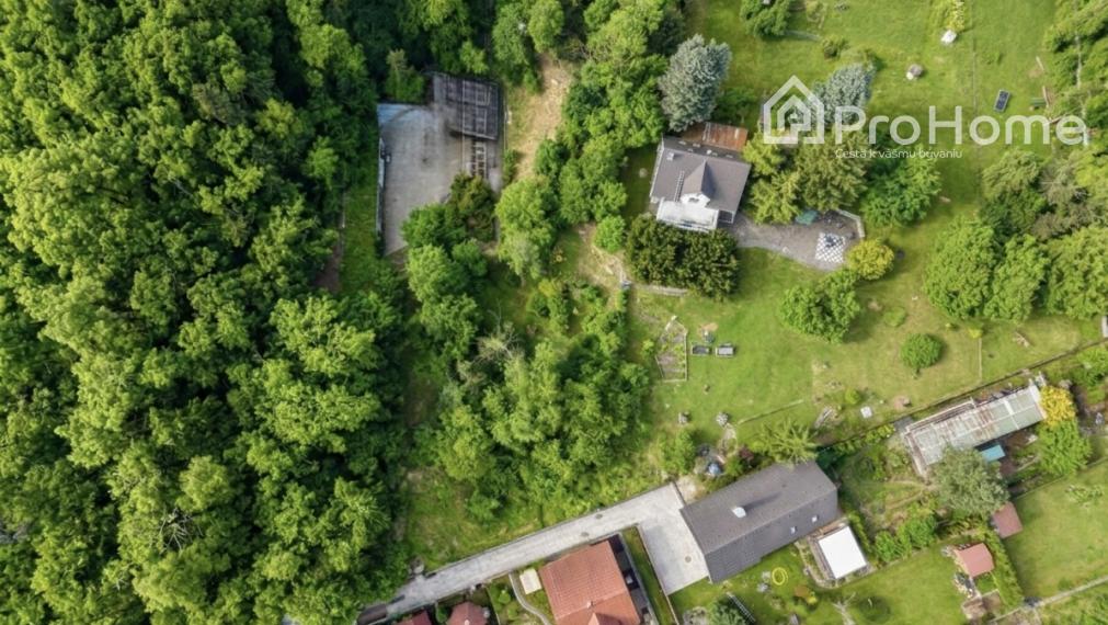 🌳 Stavebné pozemky na hranici lesa