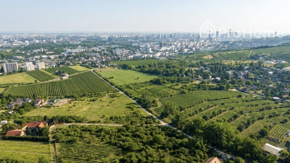 🌳 Stavebné pozemky na hranici lesa