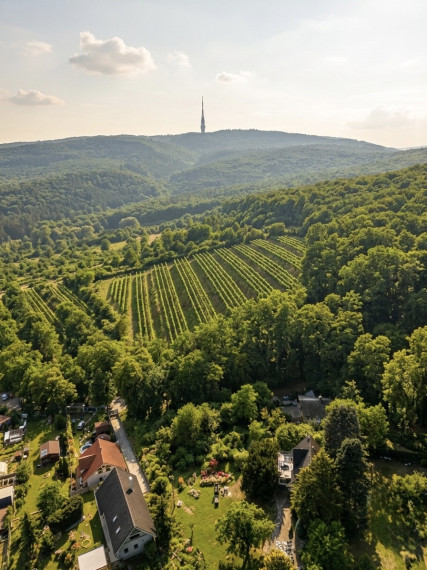 🌳 Pozemok 1700-3000m2 pre komorný projekt rekreačných víl na hranici lesa