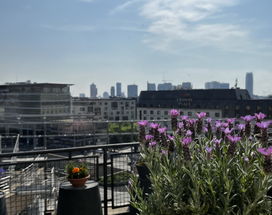 Strešný staromestský byt s terasou, na Panenskej ulici