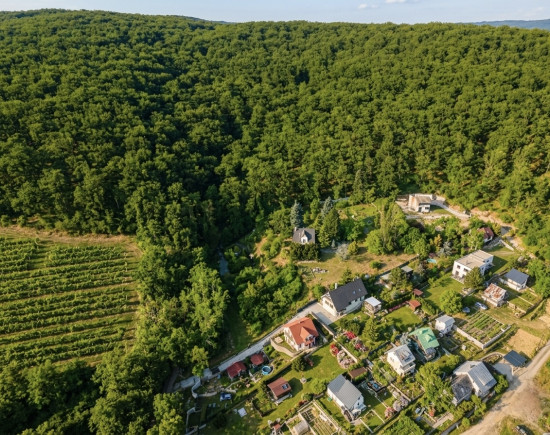 🌳 Stavebné pozemky na hranici lesa